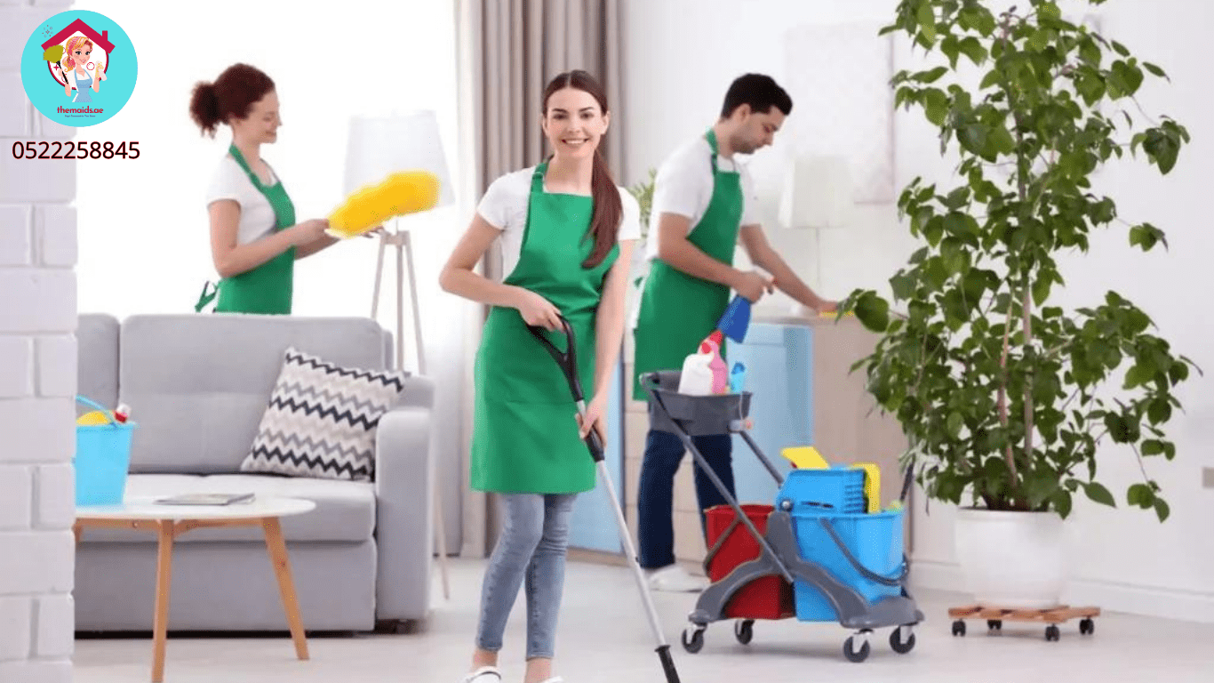Hourly Cleaning Ladies Company