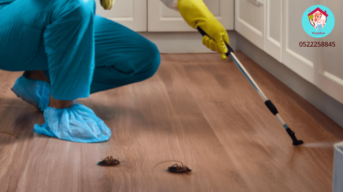 Cockroach Control with The Maids