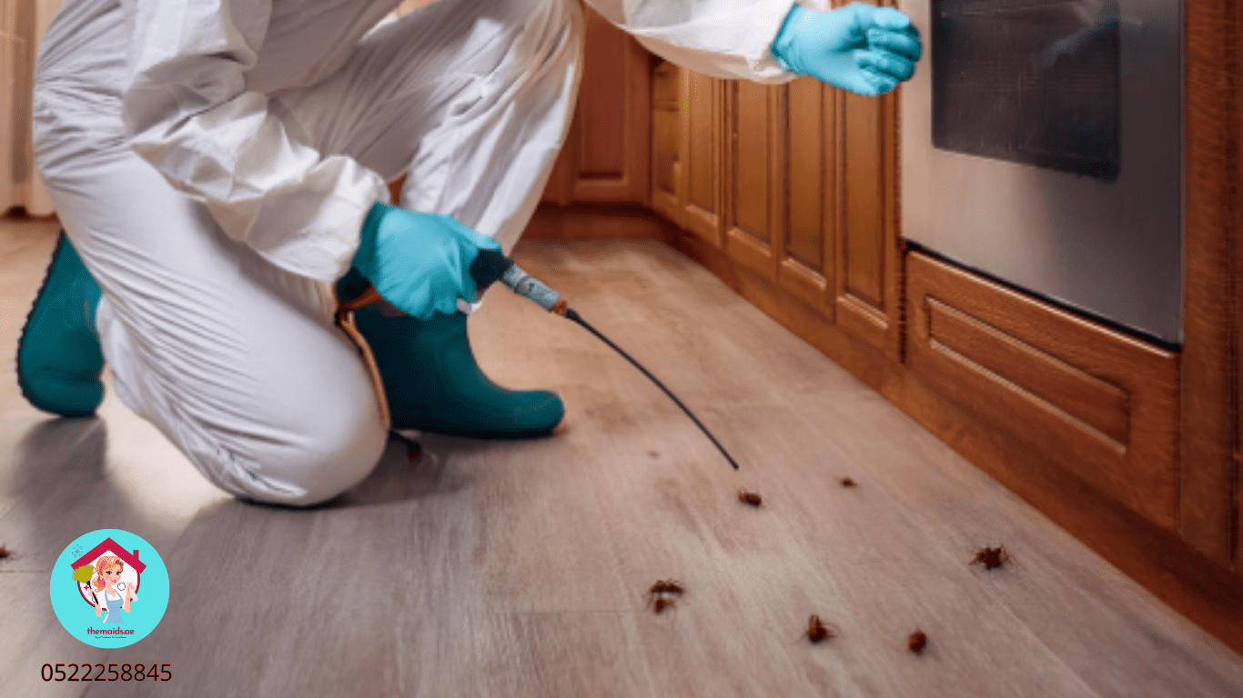 Cockroach Control with The Maids