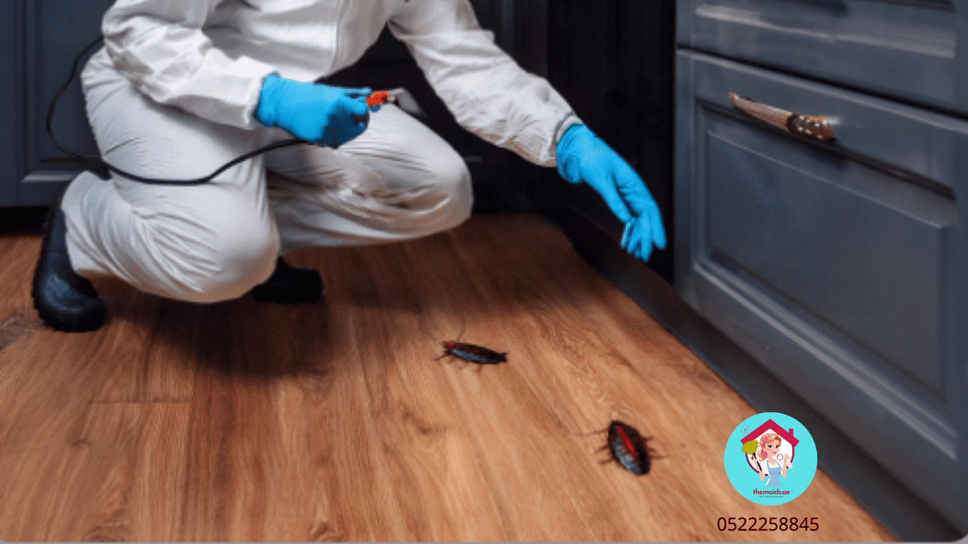 Cockroach Control with The Maids