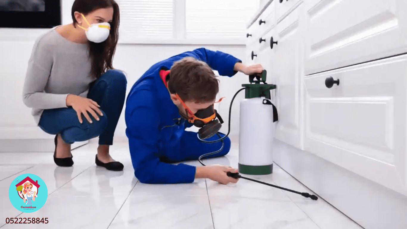 Pest Control Company in Ajman