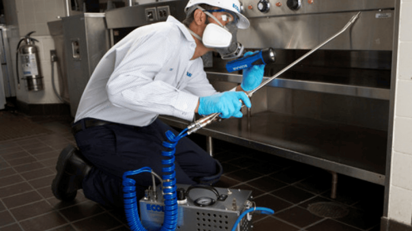Pest Control Company in Ajman