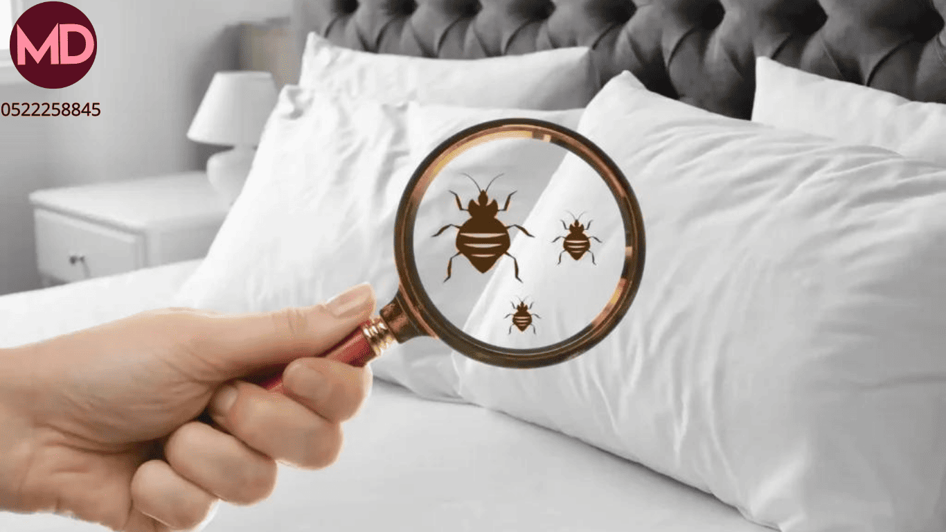 Bed Bug Control