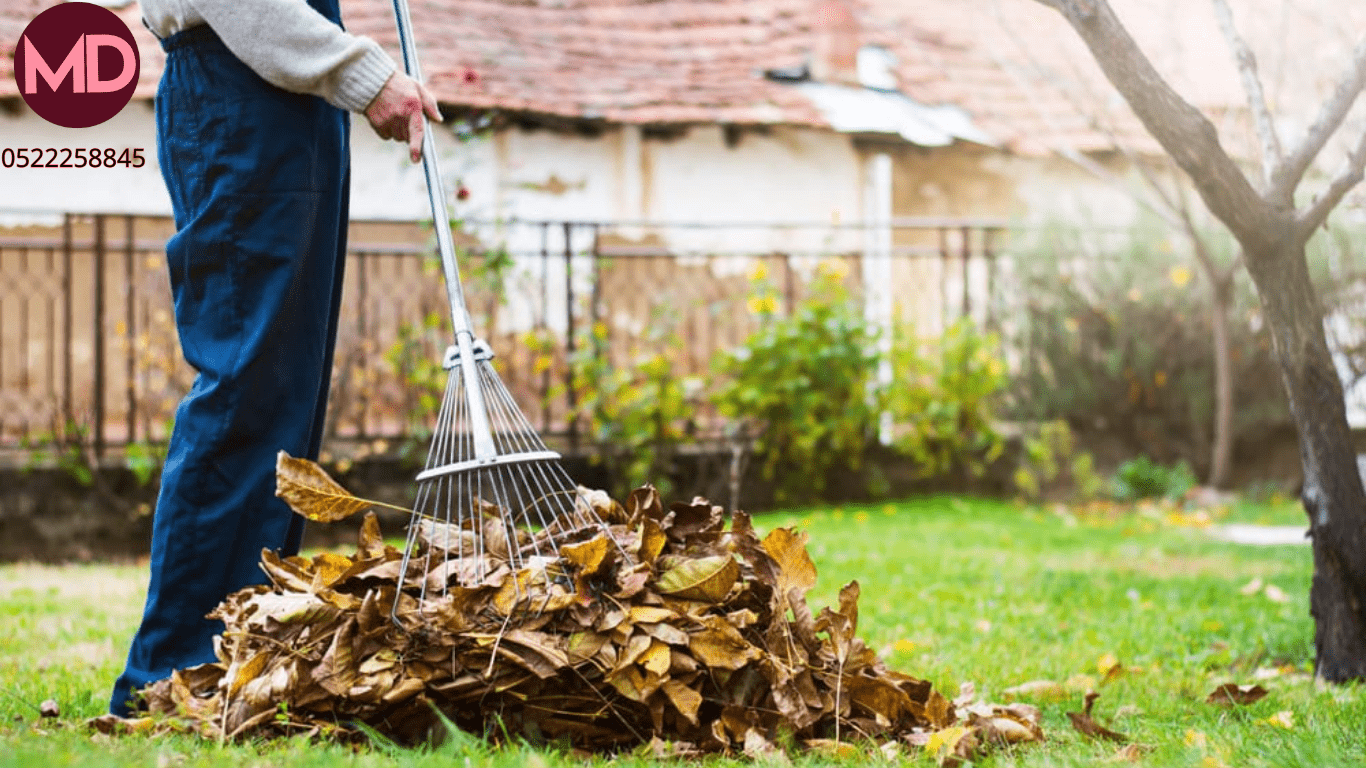 Garden cleaning service