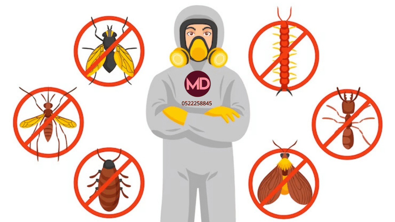 Bed Bug Control