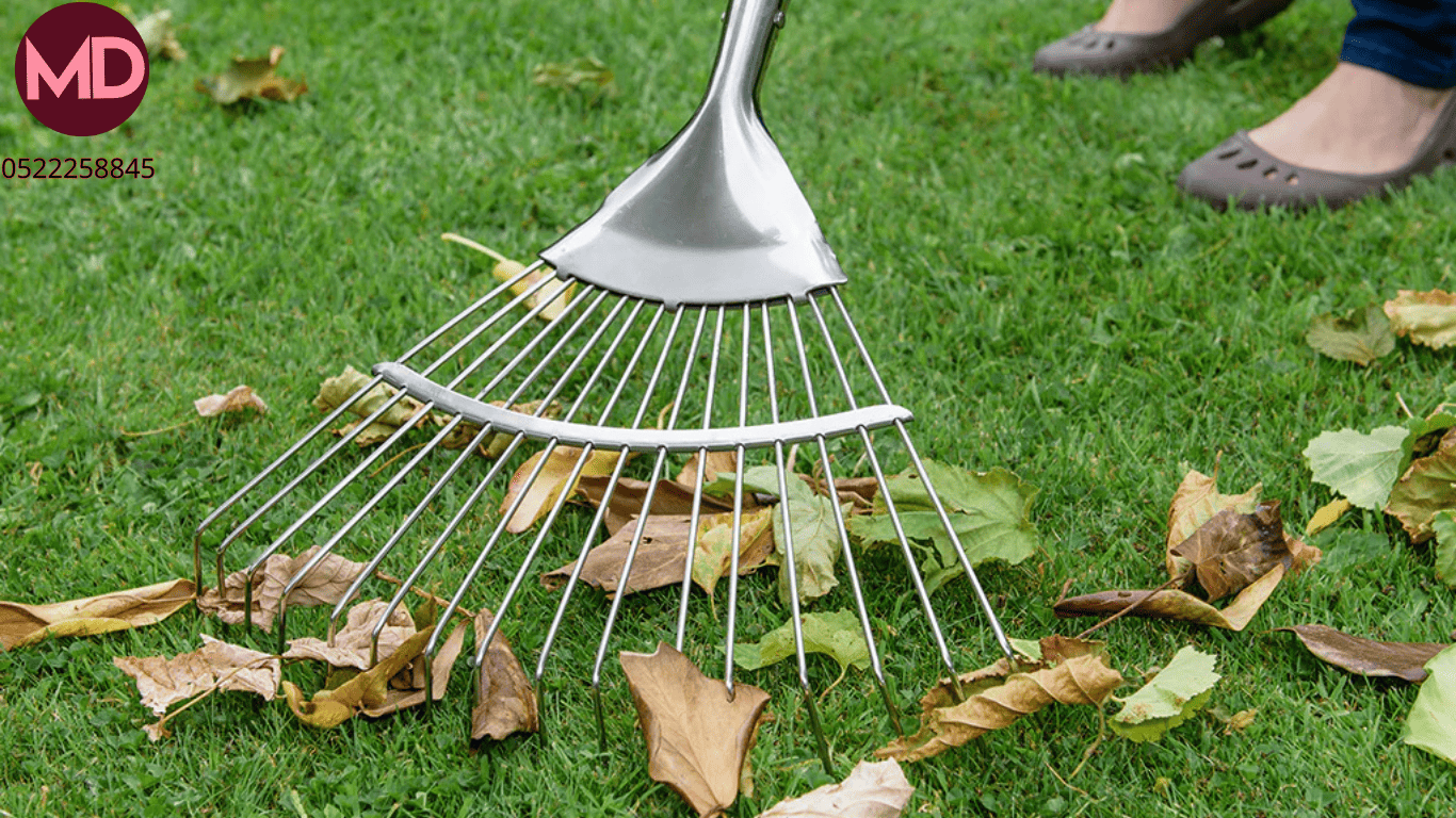 Garden cleaning service