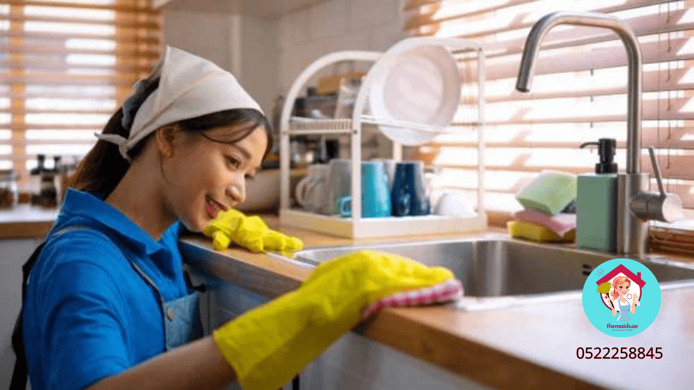 Hourly Domestic Workers