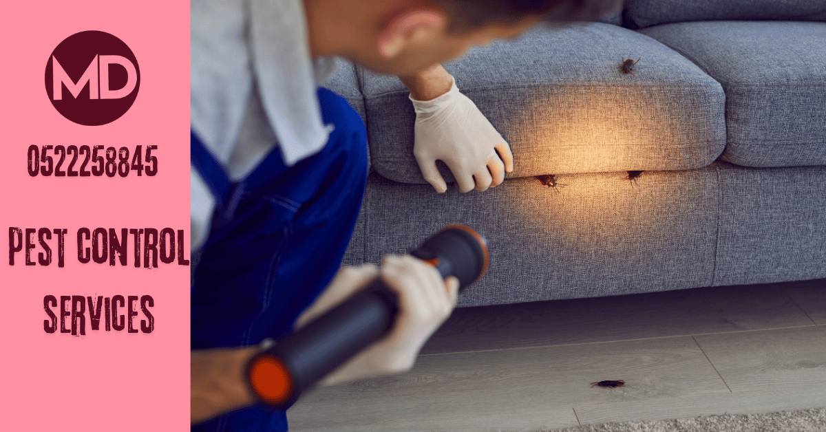 pest control service in abu dhabi