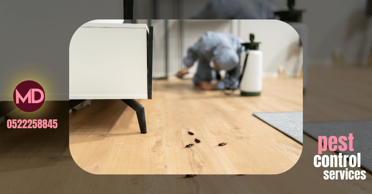 pest control service in abu dhabi