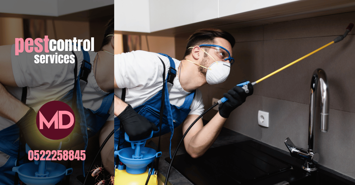 pest control service in abu dhabi