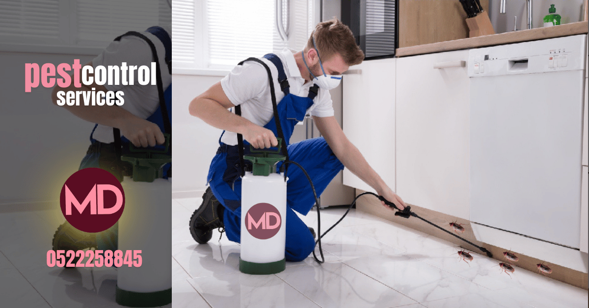 pest control service in dubai