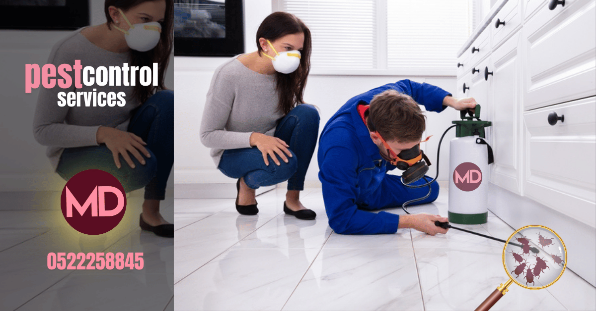 pest control service in dubai