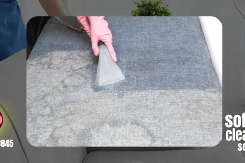 Sofa Cleaning