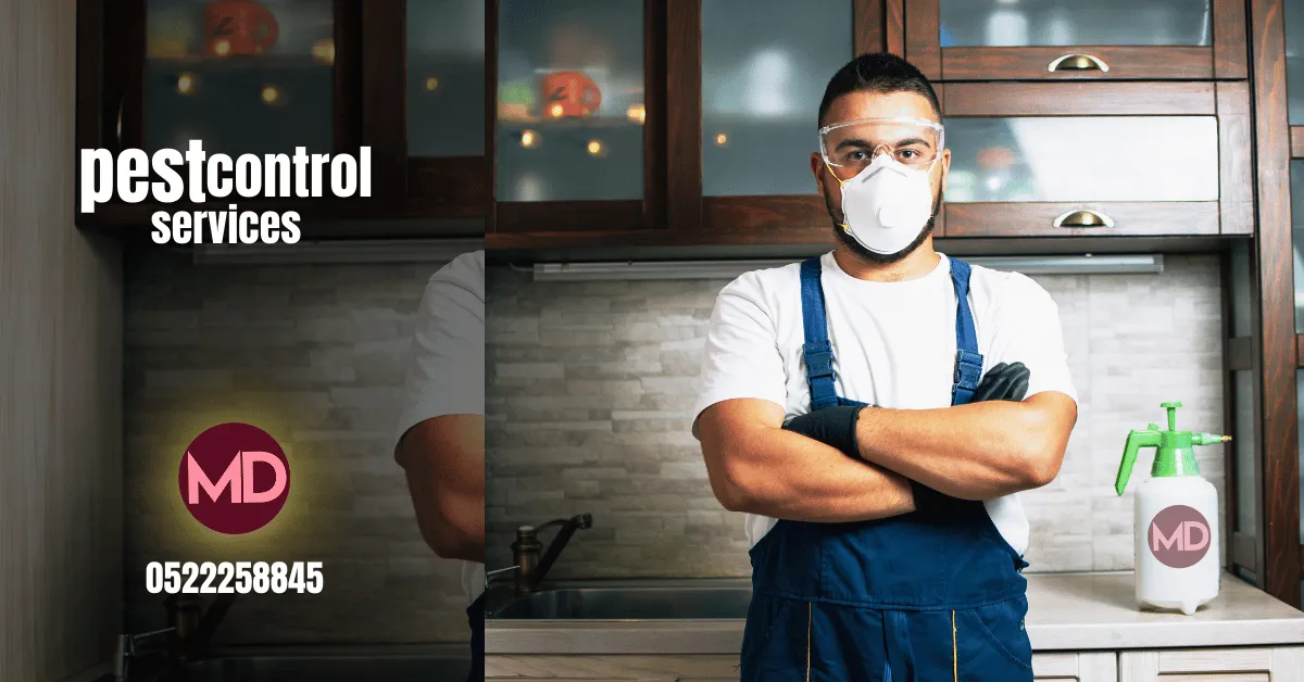 نتائج مكافحة الحشرات في أبوظبي مع TheMaids.ae