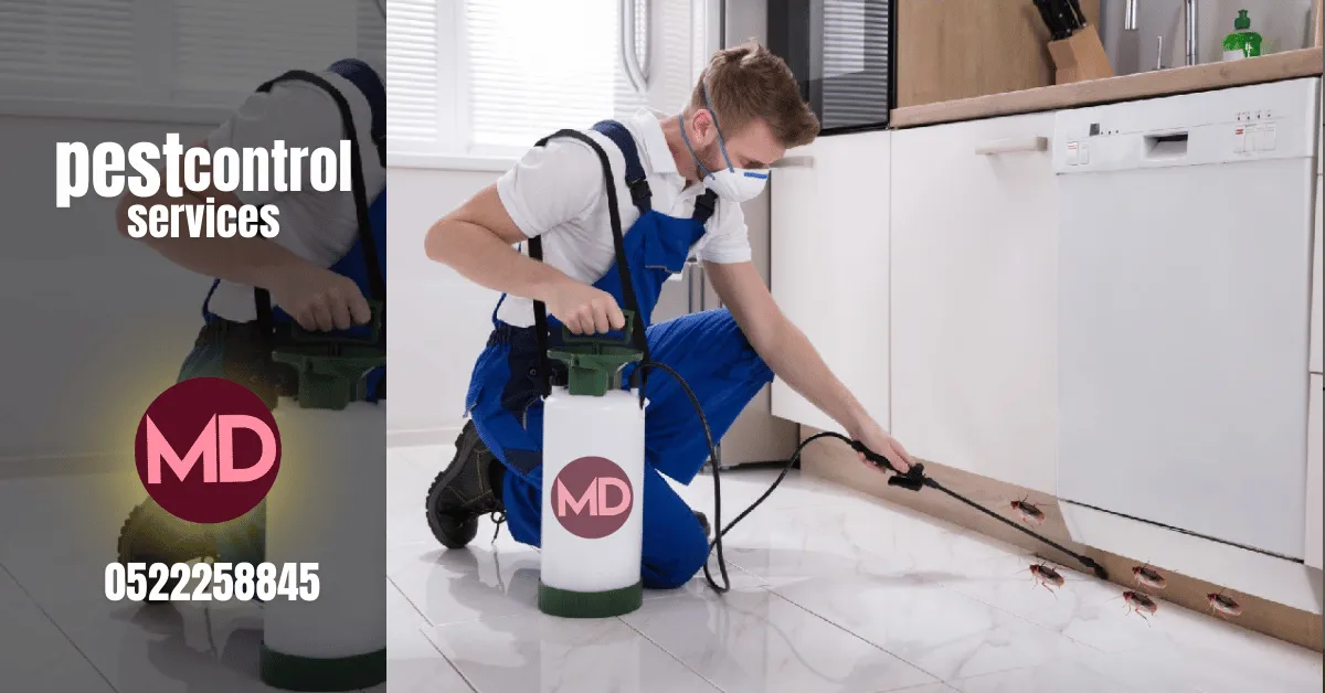 فريق TheMaids.ae أثناء مكافحة الحشرات في عجمان