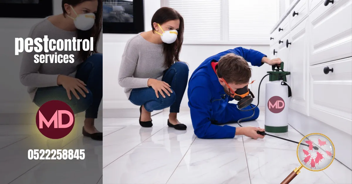 نتائج مكافحة الحشرات في عجمان من TheMaids.ae