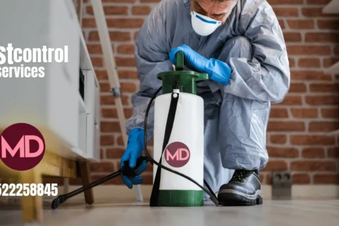 Pest control