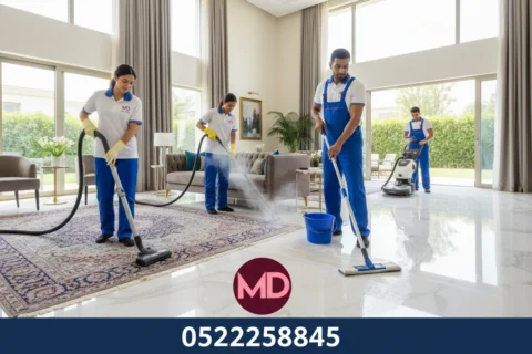 تنظيف الفلل بالبخار أم بالمواد التقليدية؟ مقارنة شاملة من حيث التعقيم والنتائج