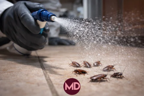 مكافحة الصراصير في الشارقة،
