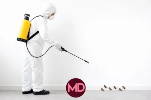 Cockroach Control in Sharjah