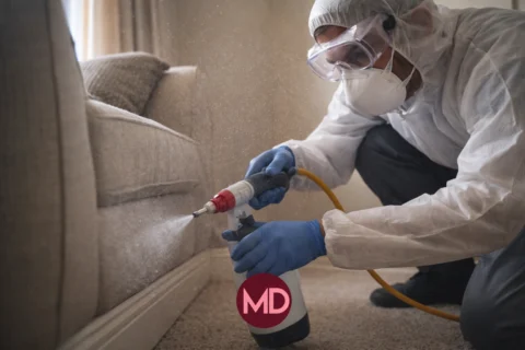 pest control in Sharjah