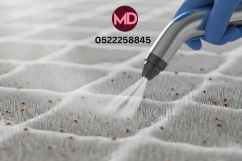 أضرار إهمال تنظيف المراتب في عجمان